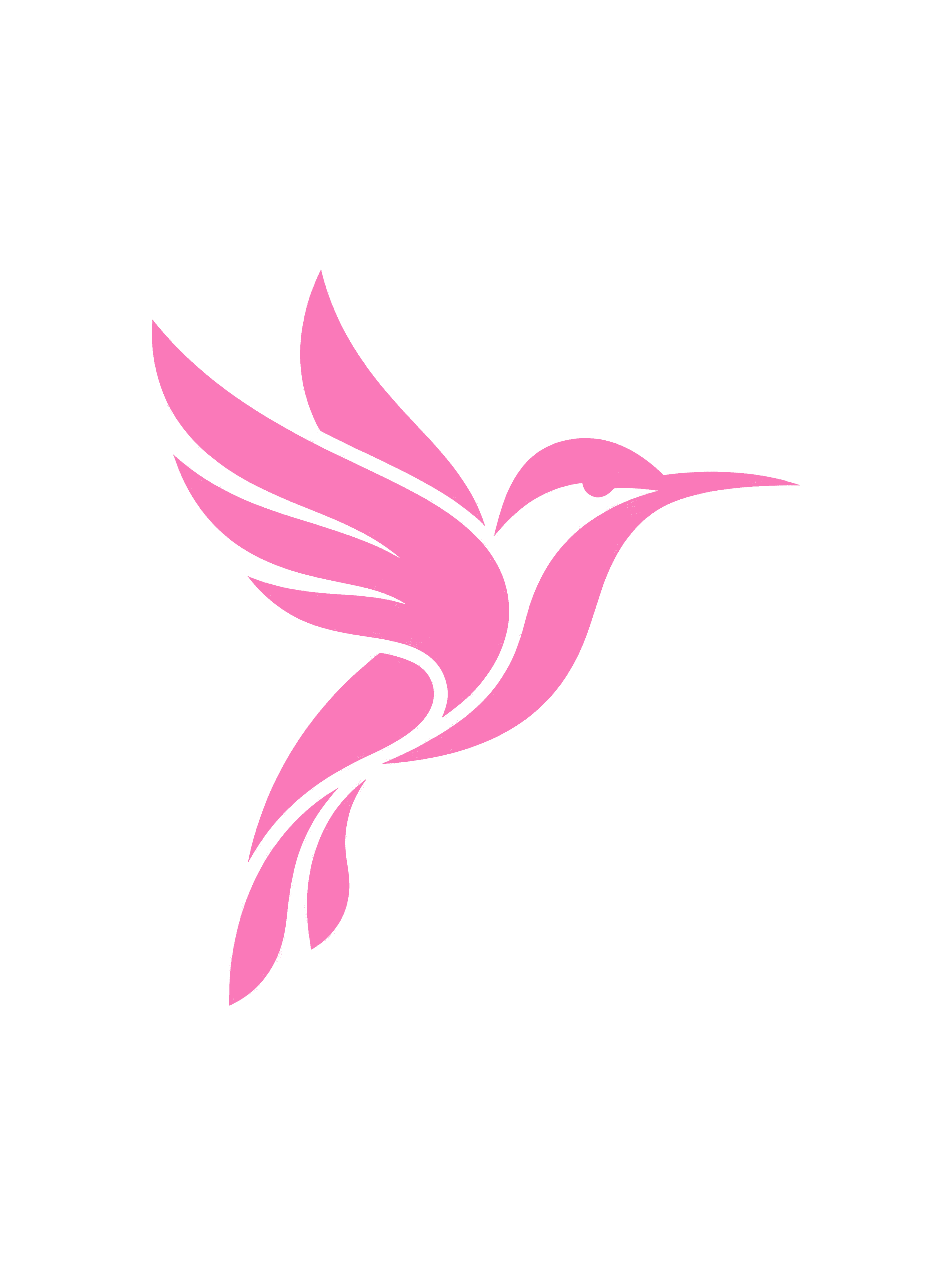 Minimal hummingbird logo comparison by Nano Banana Pro