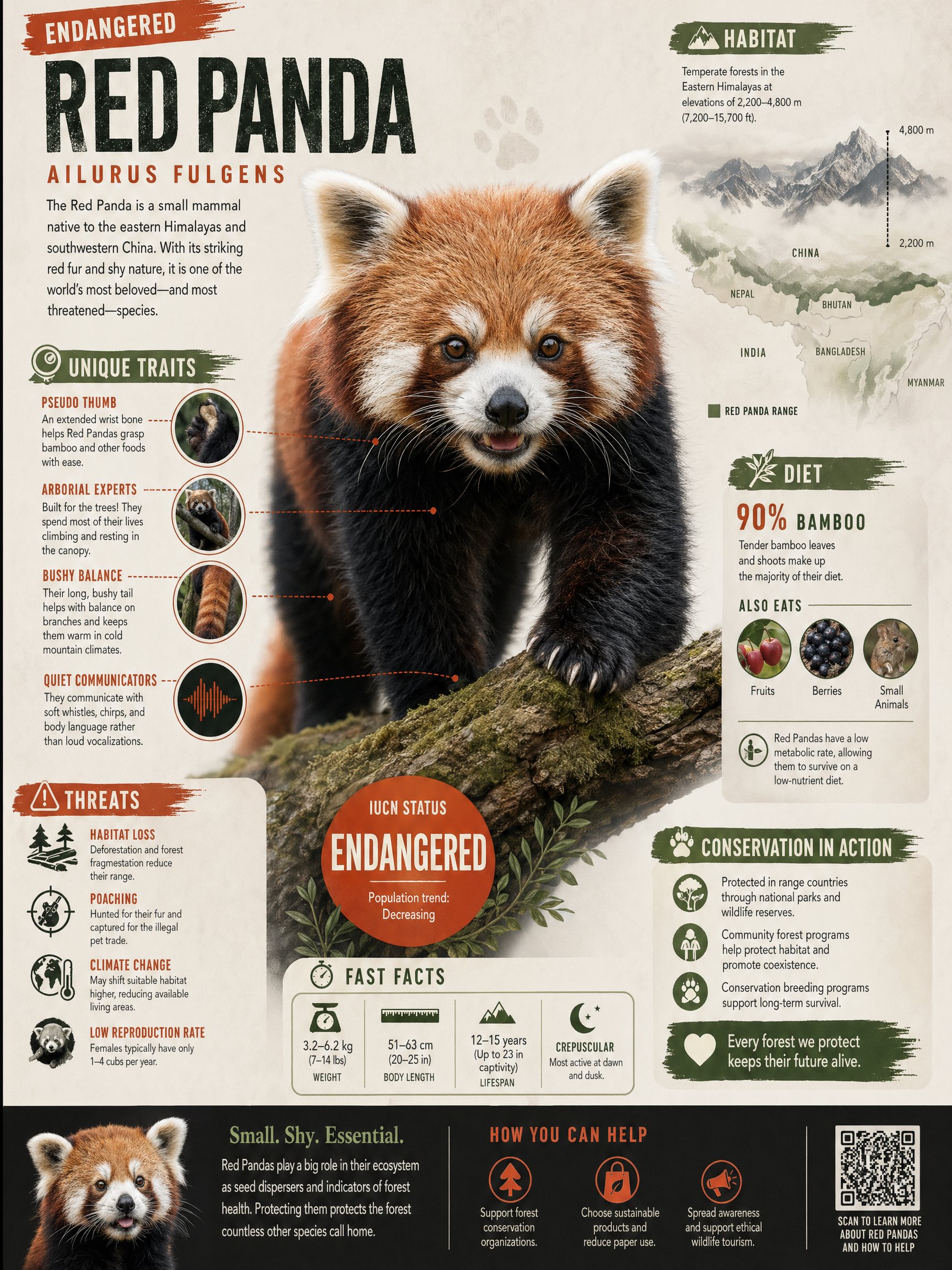 Endangered animal research infographic generated by GPT Image 2
