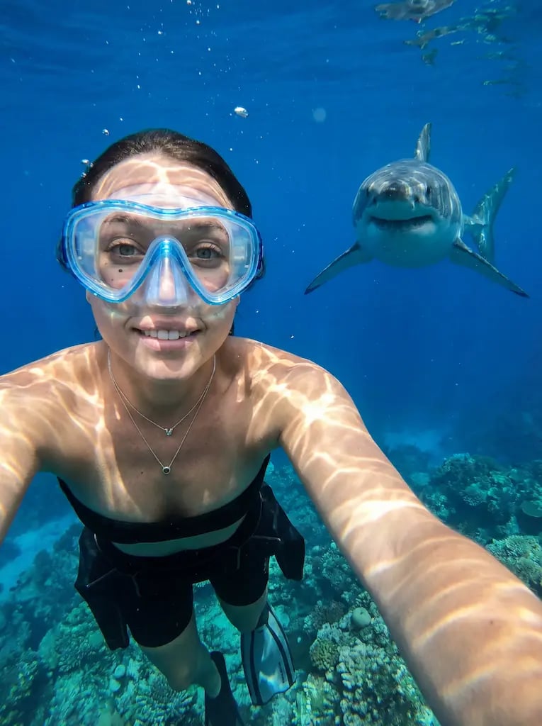 AI Generated Shark Scene