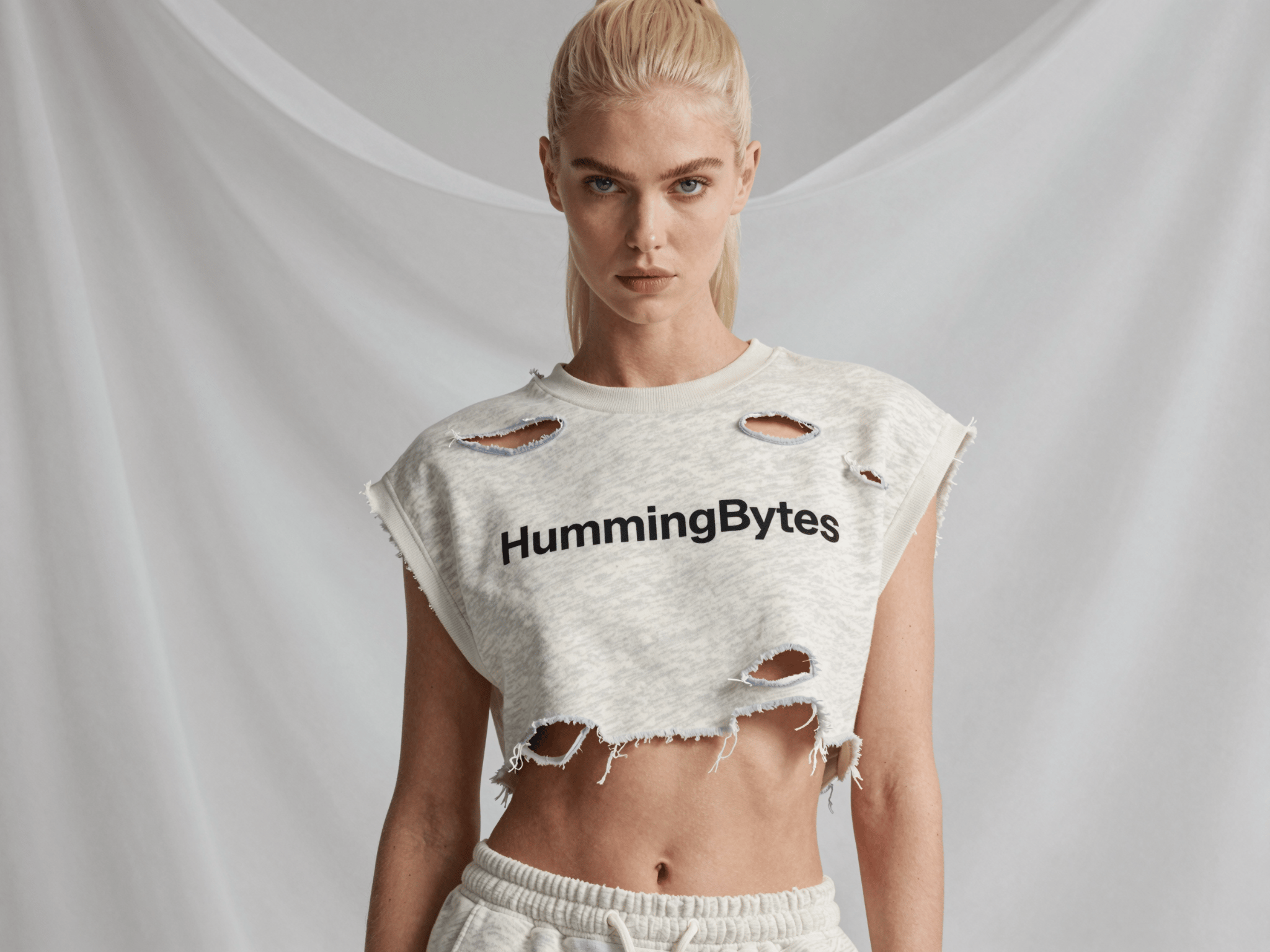 Input reference image used for the Torres del Paine landmark comparison